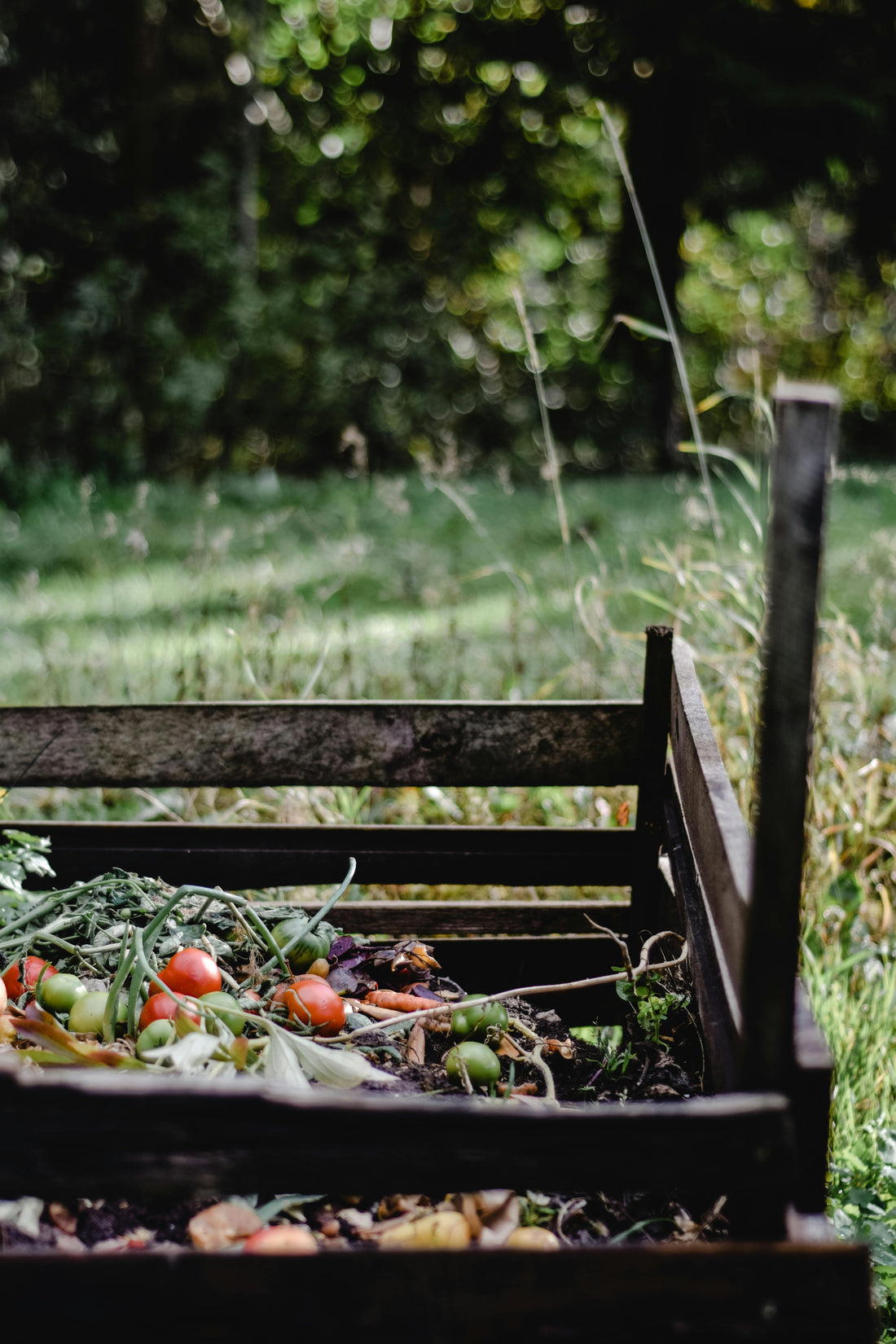 Preparing Your Garden for the Winter Months: A Homesteader’s Guide