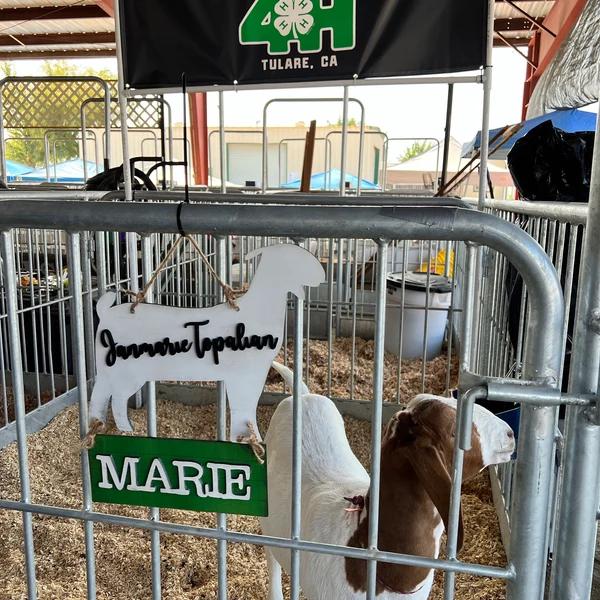 Livestock Stall Sign with Chalkboard Base, 4H FFA, steer stall sign, custom name, lamb sign, market pig stall sign, county fair, market goat