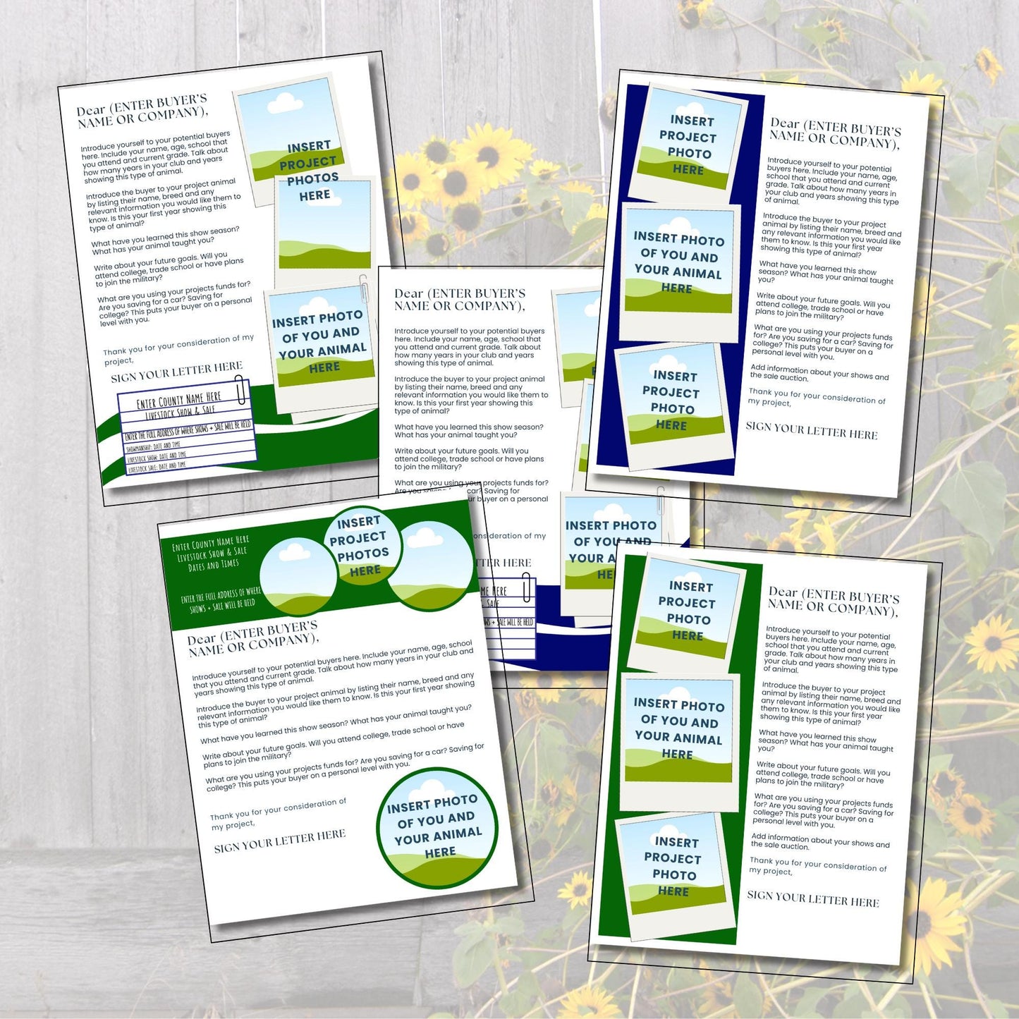 Livestock Buyer Letter Templates | 20 Canva Editable Designs | Customizable Club Outreach Letters for Agriculture Youth