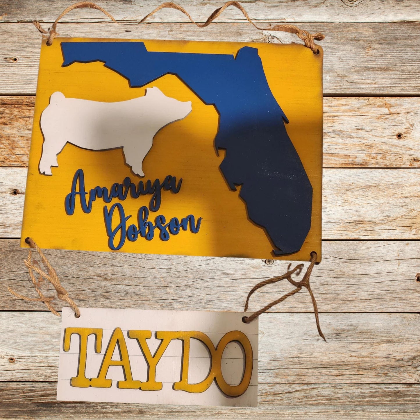 Virginia Stall Sign – Custom State Shaped Livestock Sign for 4H & FFA – Personalized Barn Sign for Steer, Pig, Goat, Lamb, Turkey