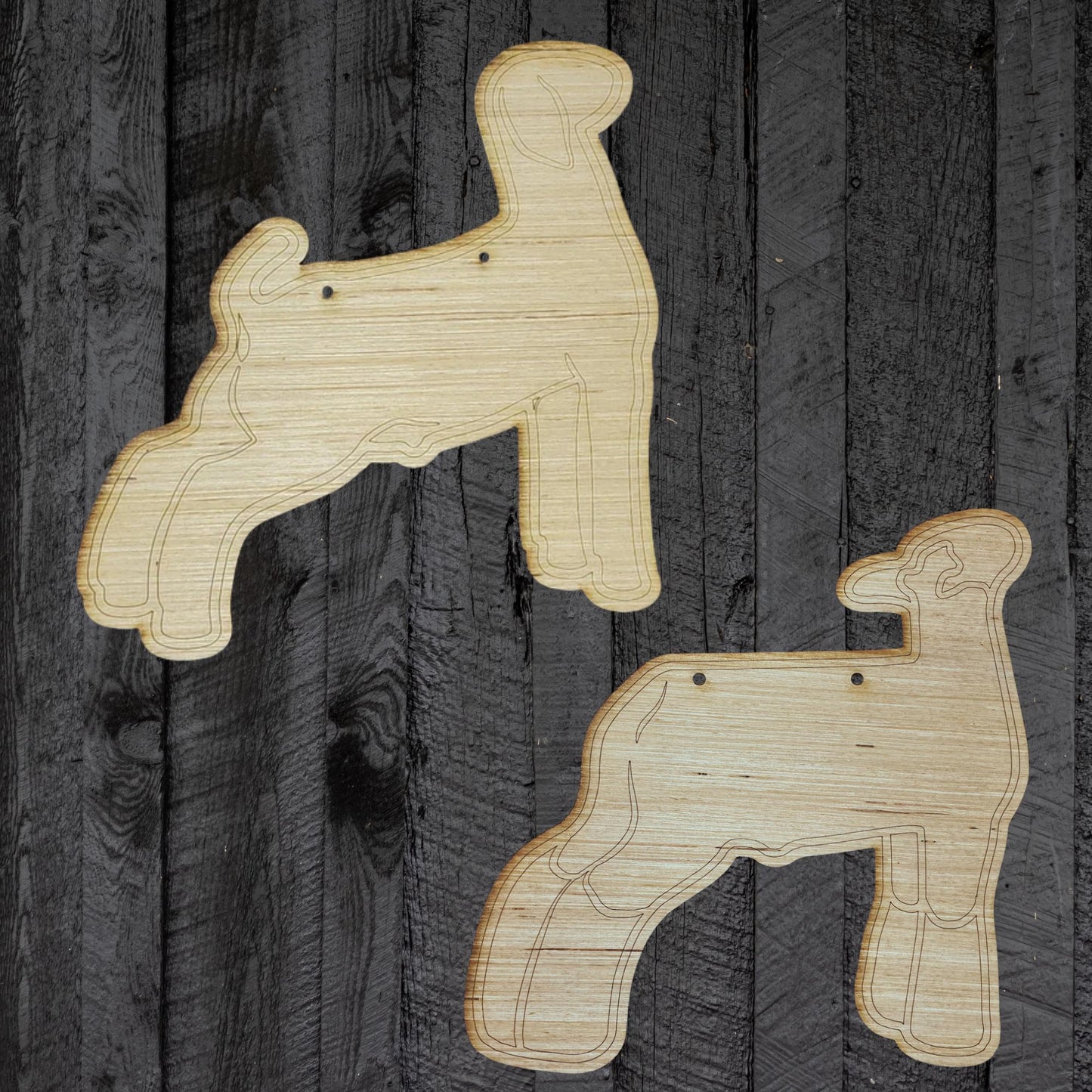 Pig Stall Sign Blank | Ears Up Hog Cutout | Yorkshire, Blue Butt, Hampshire, Berkshire 4H & FFA Livestock Show DIY Pig Sign Wood Swine Blank