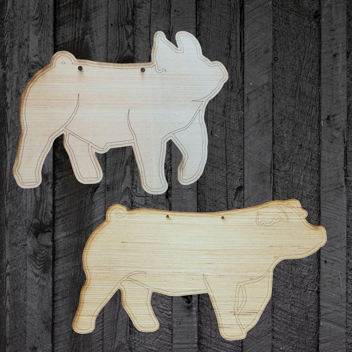 Driving Pig Wood Stall Sign Blank | Barrow or Gilt | Yorkshire, Blue Butt, Hampshire, Berkshire | 4H & FFA Livestock Show DIY Pig Sign