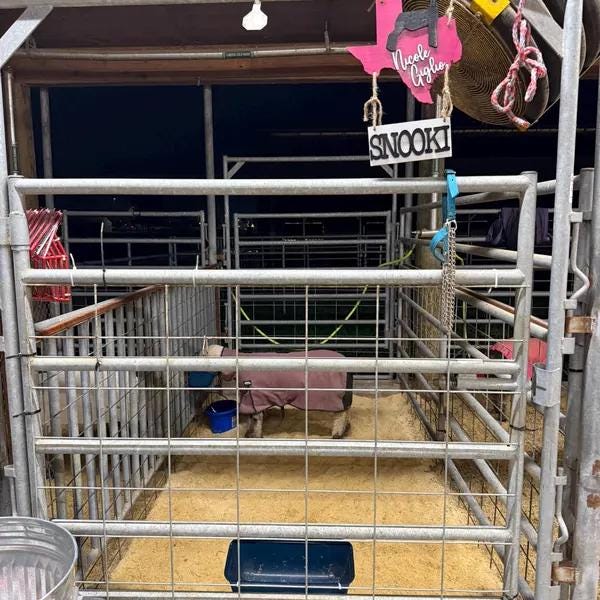 Tennessee Stall Sign – Custom State Shaped Livestock Sign for 4H & FFA – Personalized Barn Sign for Steer, Pig, Goat, Lamb, Turkey