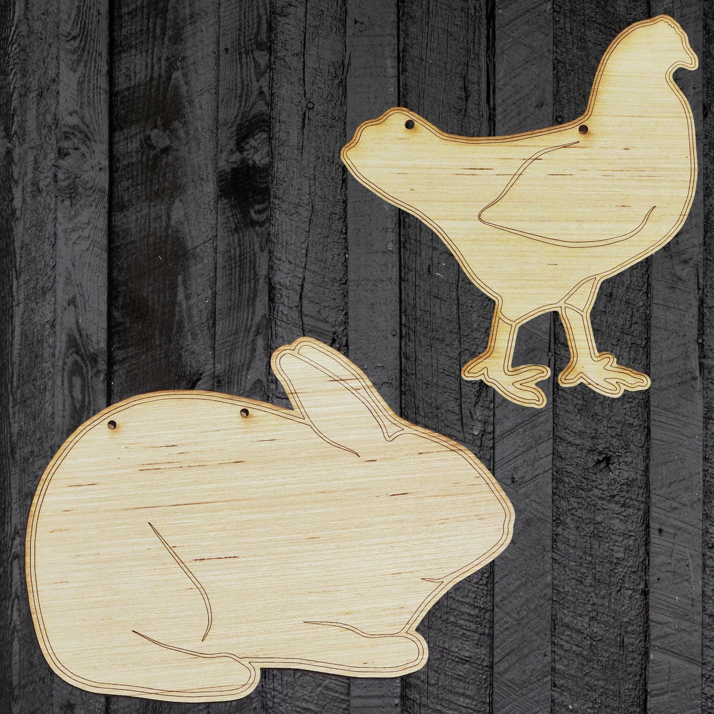 Rabbit Cage Stall Sign Blank | Buck or Doe Wood Cutout | New Zealand, Dutch, Rex, Hotot | DIY Livestock Show Sign for 4H & FFA Market Rabbit