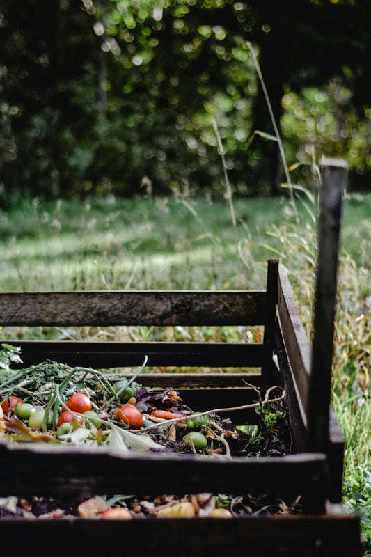 Preparing Your Garden for the Winter Months: A Homesteader’s Guide