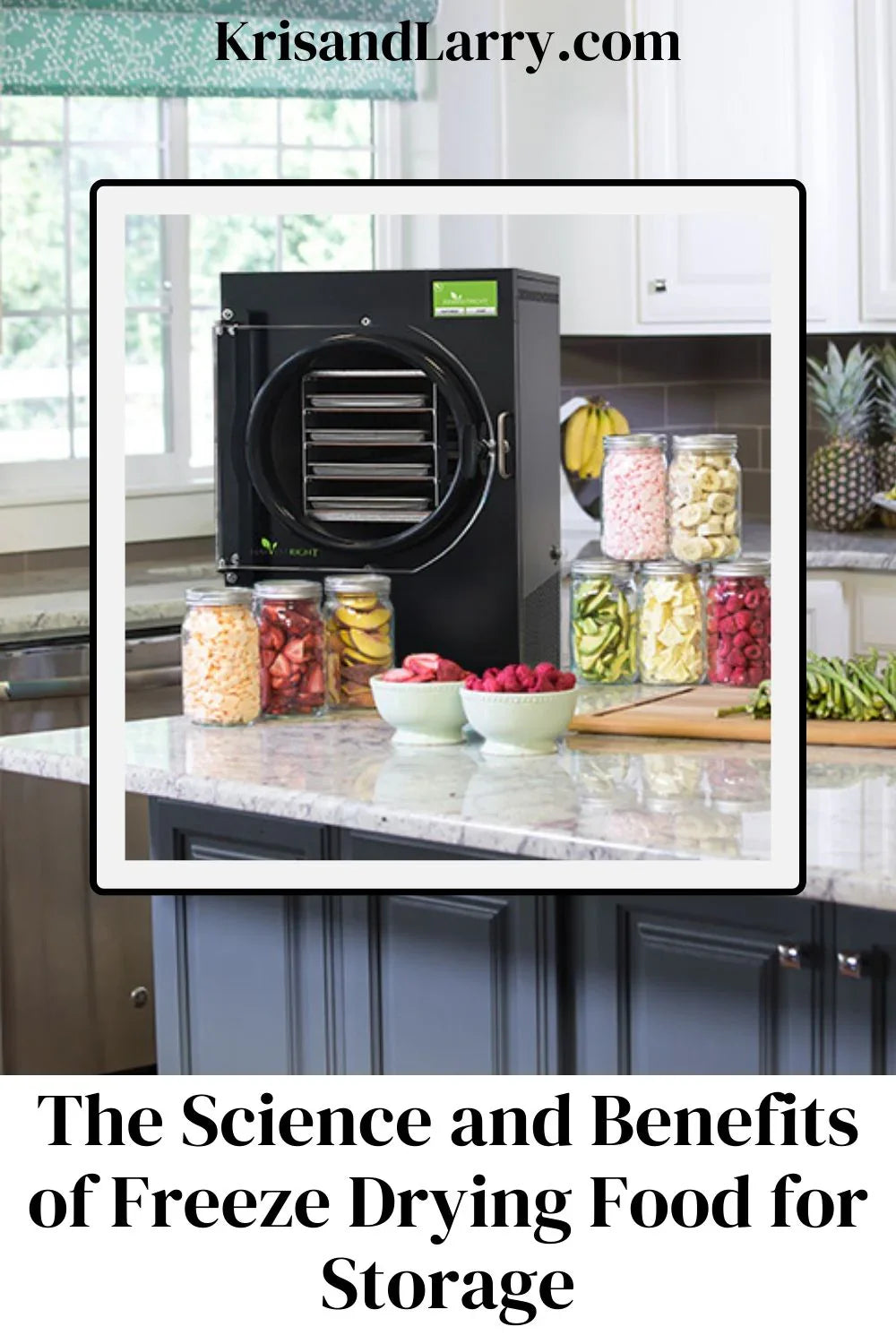 Science of Freeze Drying