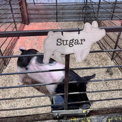 CUSTOM ORDER - WITH Etched Name - Pig Stall Sign blank, ears down, hereford, duroc, ears forward, livestock, wood stall blank, hog, swine,