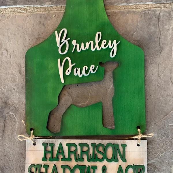 South Carolina Stall Sign – Custom State Shaped Livestock Tag for 4H & FFA – Personalized Barn Sign for Steer, Pig, Goat, Lamb, Turkey